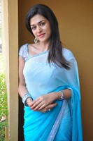 Shraddha Das Hot Saree Stills
